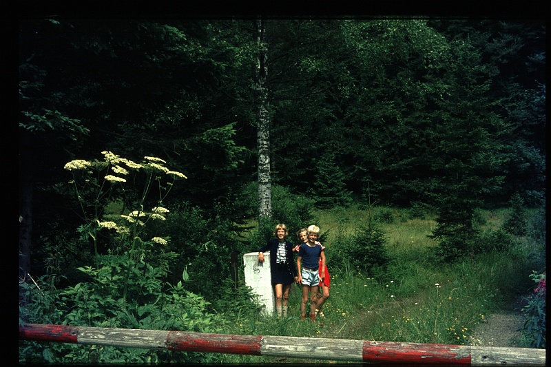04.Boehmerwald  aug 1973 Brigitte,Marion,Peter.JPG